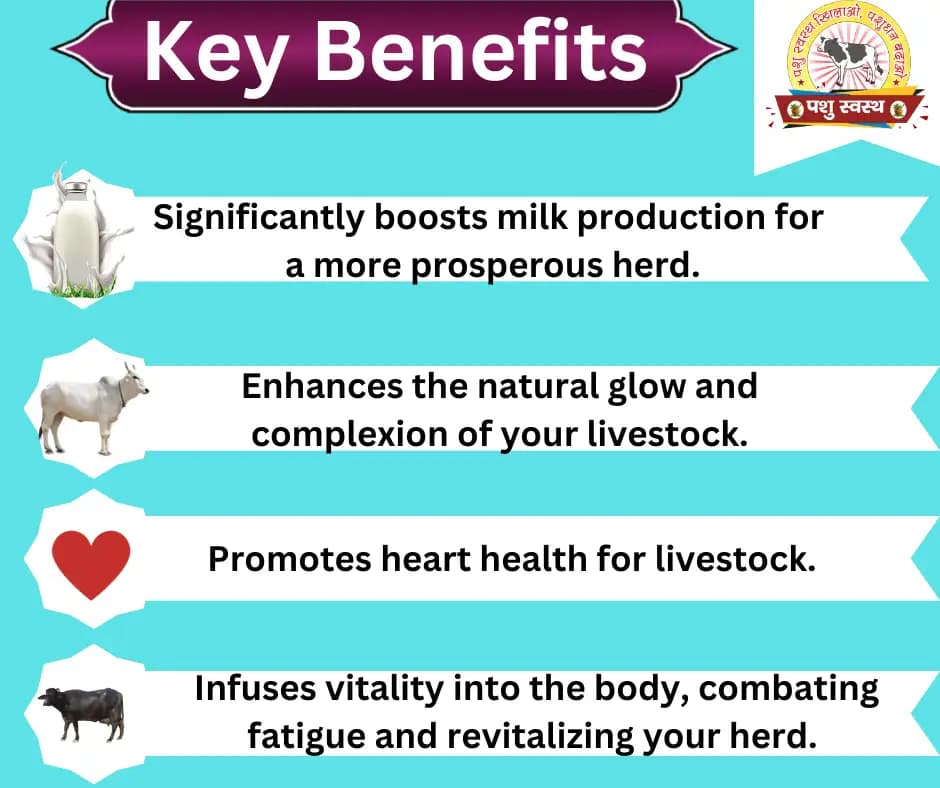 PASHU SVASTH GULKAND, Rose Infused Herbal Milk Booster, Stomach Cooler For Cattle And Animal Health Supplement - Image 2