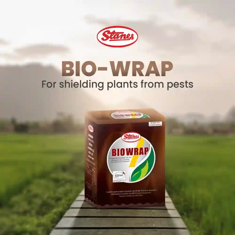 T. Stanes Biowrap Trichoderma Harzianum 1.00% WP Nematode, Biocontrol For Soil Diseases Control - Image 2