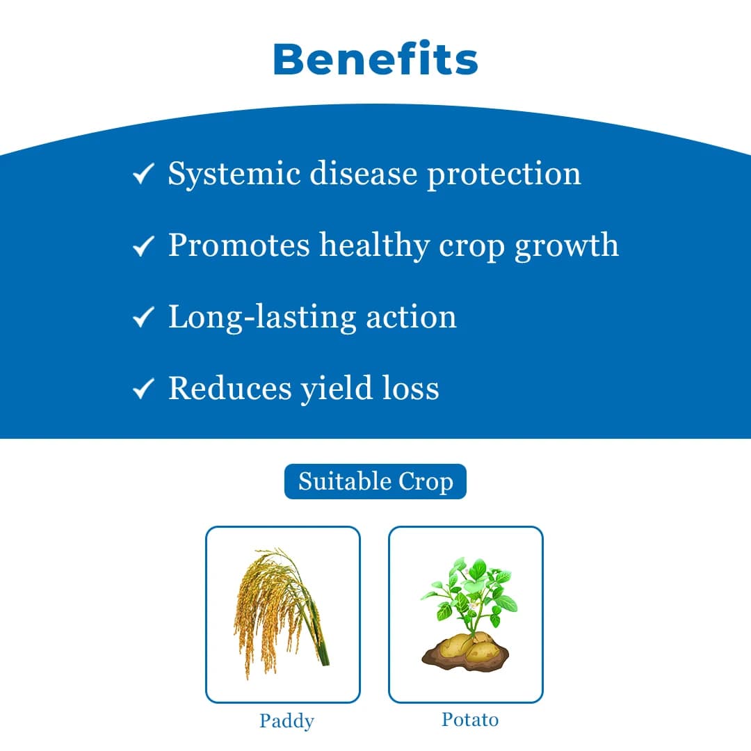 FMC Cilpyrox Thifluzamide 24% SC Systemic Fungicide, Recommended for Sheath Blight in Rice and Black Scruf Disease in Potato - Image 4