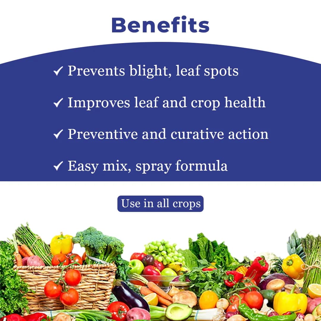 BACF Bcoper Copper Oxychloride 50% WG, Contact Action, Broad Spectrum Fungicide - Image 4