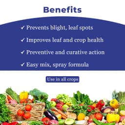 BACF Bcoper Copper Oxychloride 50% WG, Contact Action, Broad Spectrum Fungicide 4
