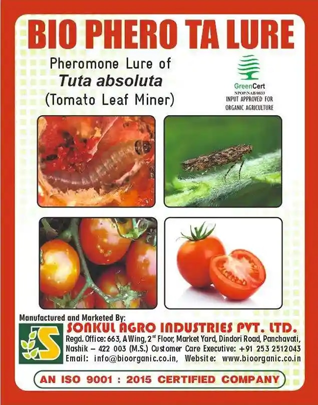 Sonkul Agro Industries Combo Of Bio Phero Tuta Absoluta (Ta) Lure And Delta Trap For Tomato Leaf Miner