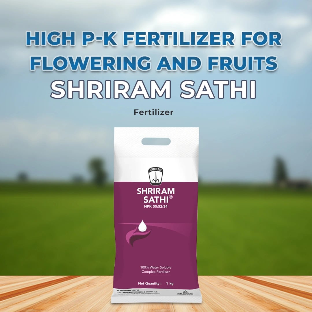 Shriram Sathi 00:52:34 Fertilizer