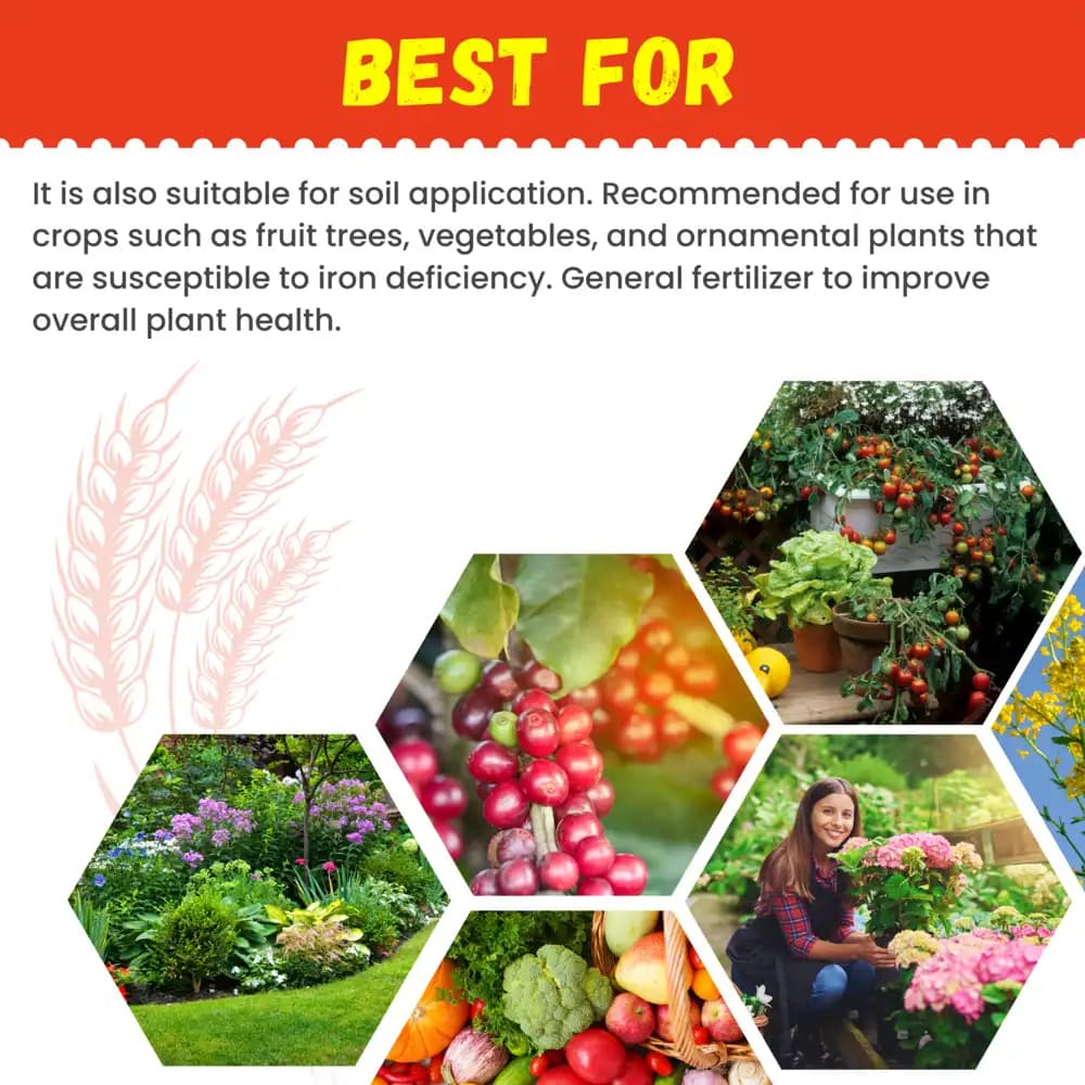 Katyayani Boron EDTA 20% Fertilizer, Premium Water Soluble Fertilizer, For Hydroponics and Soil - Image 5