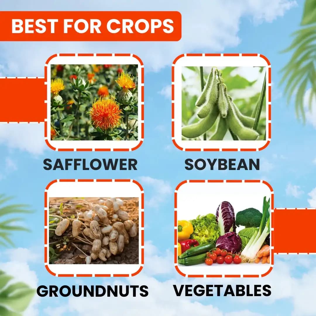 EBS Emaan Emamectin Benzoate 5% SG Insecticide, Controls Fruit And Shoot Borer Thrips, Mites. - Image 3