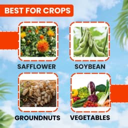 EBS Emaan Emamectin Benzoate 5% SG Insecticide, Controls Fruit And Shoot Borer Thrips, Mites. 3