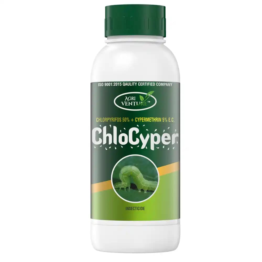 Agriventure Chlocyper (Chlorpyriphos 50% + Cypermethrin 5% Ec) Insecticides - Image 4