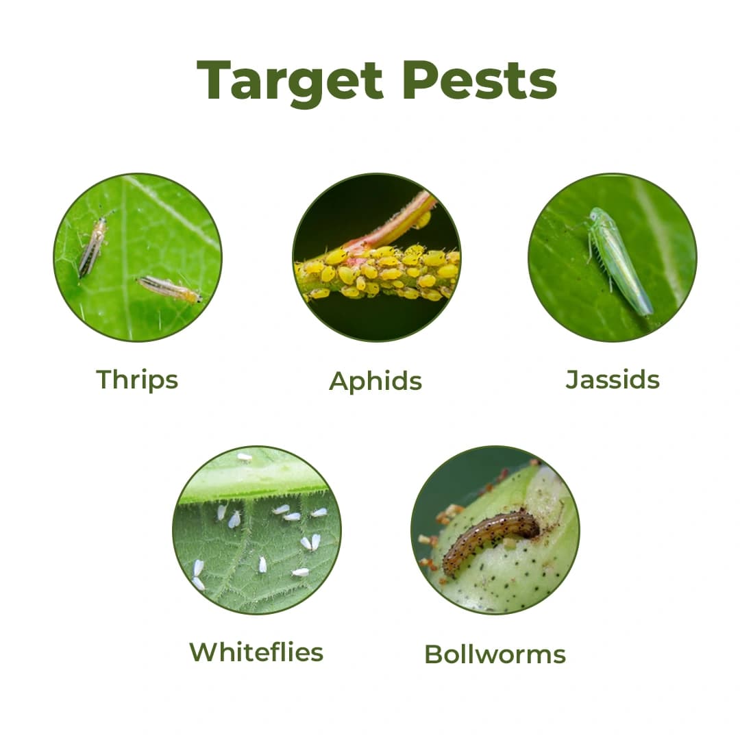 Startek Chemicals Cyprogold Profenofos 40% + Cypermethrin 4% EC For Effective Controlling the Insects. - Image 3