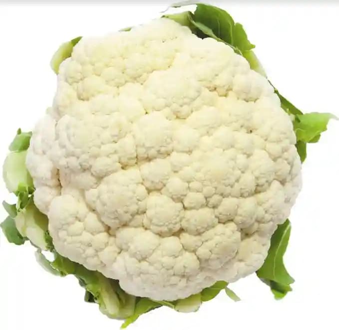 Jivit JS 1 F1 Hybrid Cauliflower Seeds, High Tolerance to Heat and Small Compact Plants - Image 2