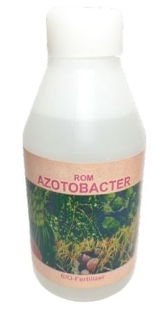 ROM Azotobacter (Nitrogen Fixing Bacteria) For Promoting Growth And Yields, Fixing Atmospheric Nitrogen.
