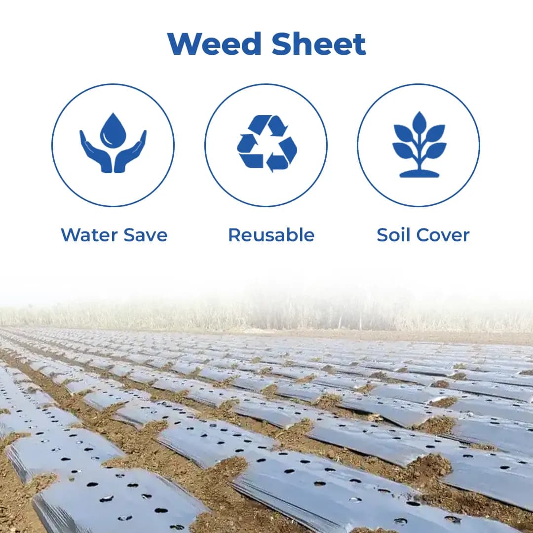 Global Polyplast Mulching Paper (1.2M x 400M) Roll - Image 3