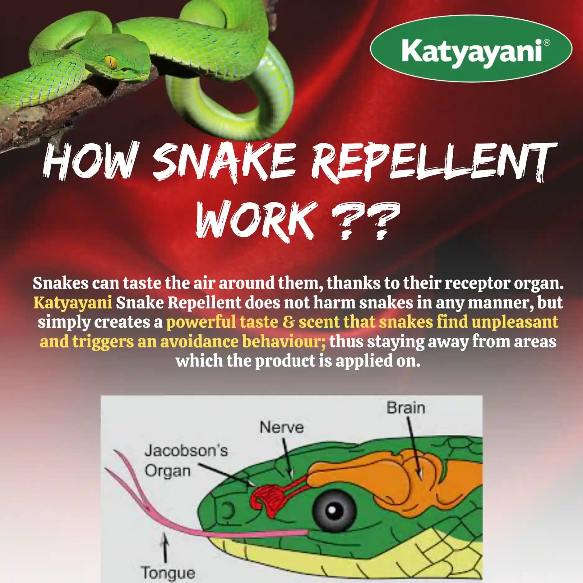 Katyayani Snake Repellent, Snake Shield Non-Toxic Powder, Eco-Friendly Solution for Homes, Farms, and Gardens to Repel Snakes Effectively - Image 5