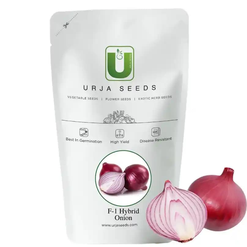 Urja F1 Kalyani Hybrid Onion Seeds, Deep Red Color, Semi-Globe Shape - Image 1