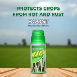 Katyayani Boost Fungicide - Propiconazole 25% EC 2