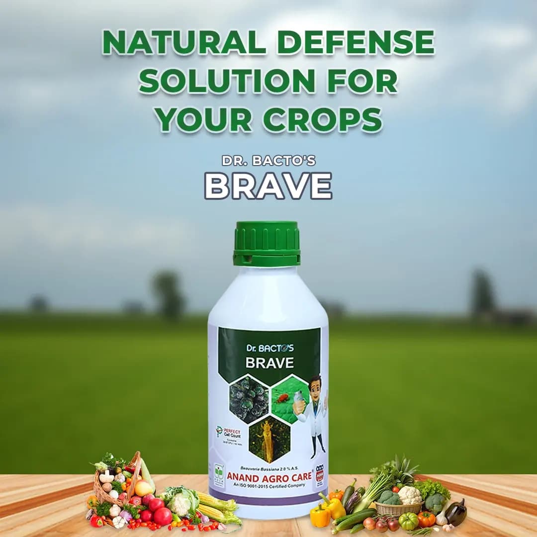 Dr. Bacto\'s Brave, Beauveria Bassiana, Bio Pesticide, Effective On Catter Piller, Grubs, Whitefly, Aphids, Borers, Leafhoppers, Cutworms and Thrips - Image 2