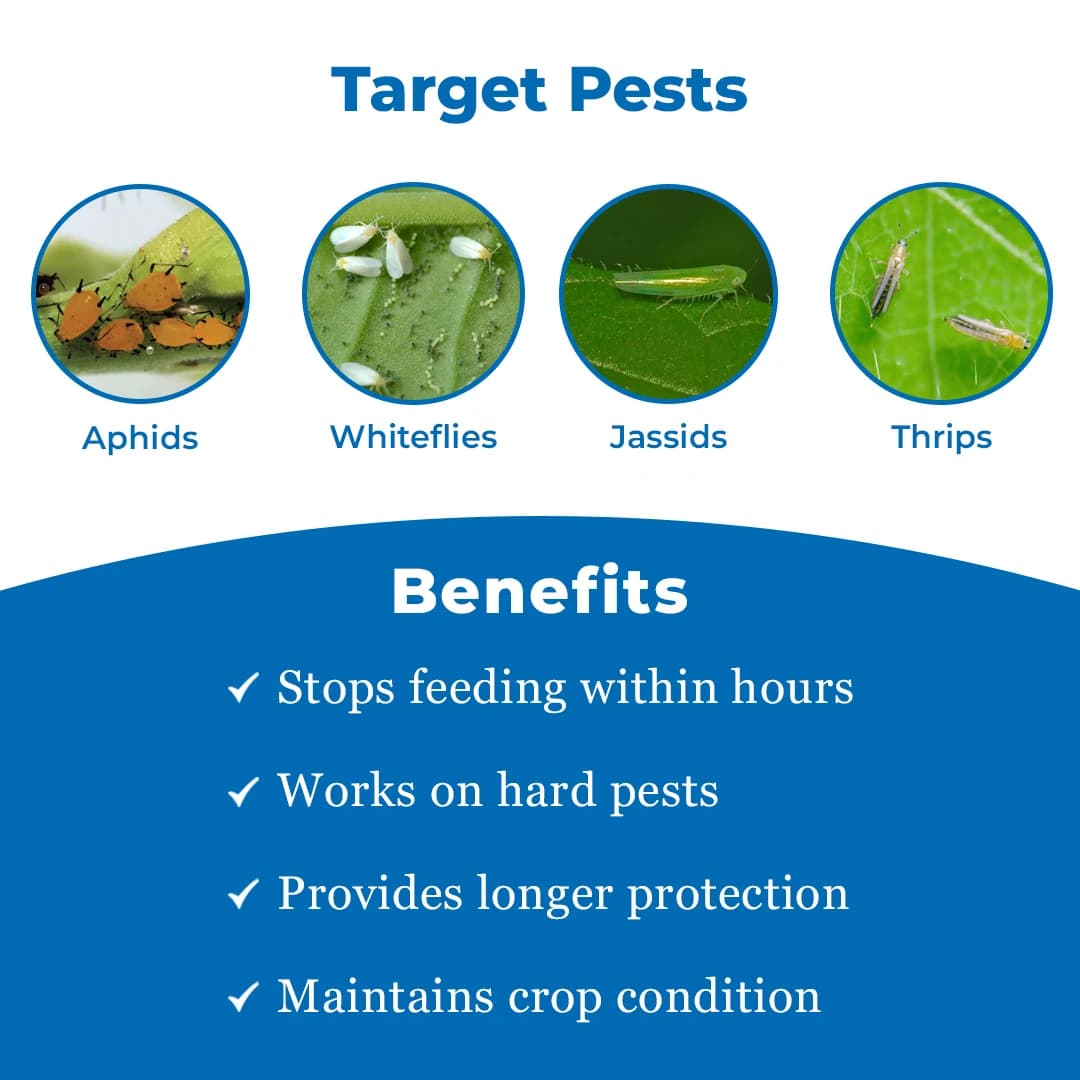 Exylon Thunder Insecticide - Tolfenpyrad 15% EC - Image 3