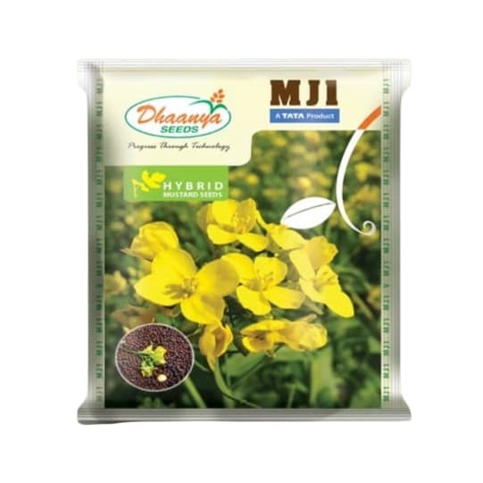 TATA Rallis MJ1 F1 Hybrid Mustard Seeds, Sarso Ke Beej, Long Duration Variety - Image 2