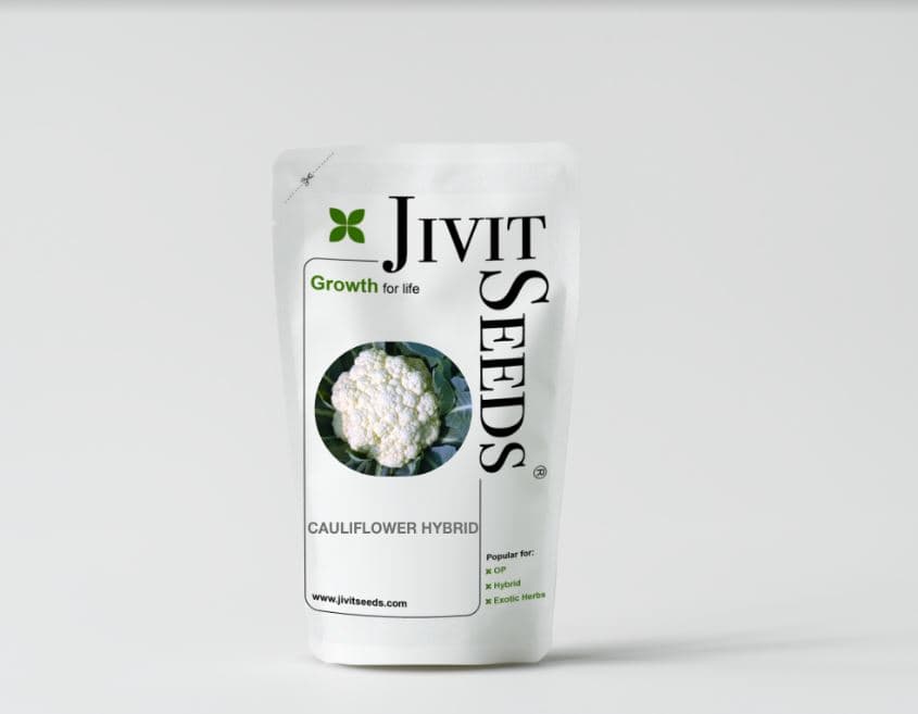 Jivit JS 1 F1 Hybrid Cauliflower Seeds, High Tolerance to Heat and Small Compact Plants - Image 3