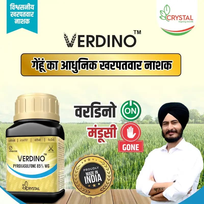 Crystal VERDINO Pypoxasulfone 85% WG Herbicide, Effective For Wheat - Image 5