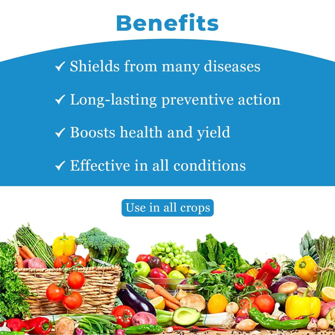 TATA Rallis Blitox Copper Oxychloride 50% WP , Very effective Fungicide for the control of diseases on field, garden and plantation Crops. - Image 4