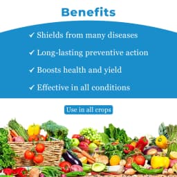 TATA Rallis Blitox Copper Oxychloride 50% WP , Very effective Fungicide for the control of diseases on field, garden and plantation Crops. 4