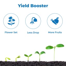 सुमितोमो तबोली पौधों की वृद्धि संवर्धक, पेड़ की वृद्धि को नियंत्रित करता है, और छंटाई लागत को घटाता है 3