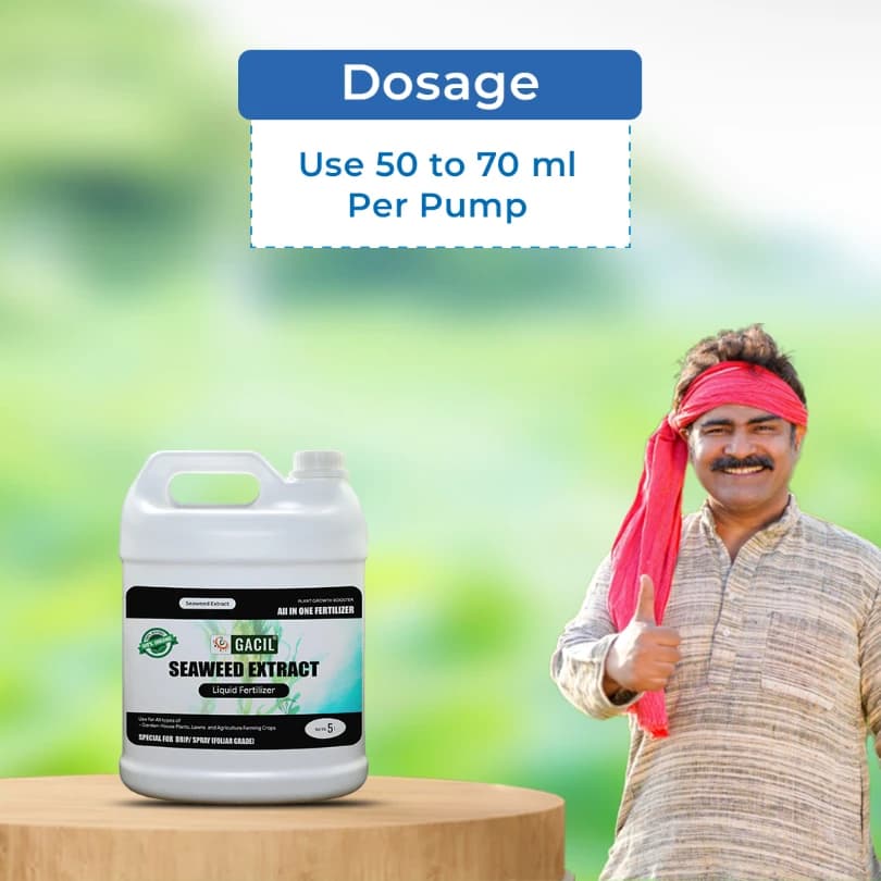 GACIL Seaweed Extract Liquid Fertilizer - Image 5