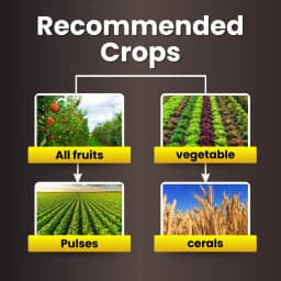 Katyayani VAM-G Vesicular Arbuscular Mycorrhiza Bio Fertilizer, Boosts Root Growth, And Improves Soil Health 4