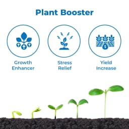 PerfoSil Ecocert Certified Plant Immunity & Yield Booster of Plants, Bio Available Stabilized Silica 3%, Sorbitol 15% 3