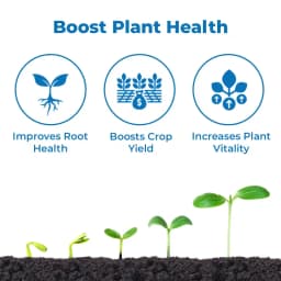 FMC Zinatra 700 (Zinc Oxide Suspension Concentrate 39.5% ww Zinc) , Provides More Zinc To Plants Compared To Traditional Zinc Formulations 3