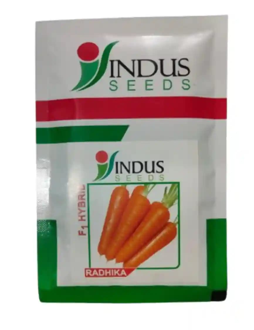 Indus Hybrid Carrot Radhika Seeds, Uniform Smooth Skinned Roots, Suitable For Cultivation In Winter. - Image 1