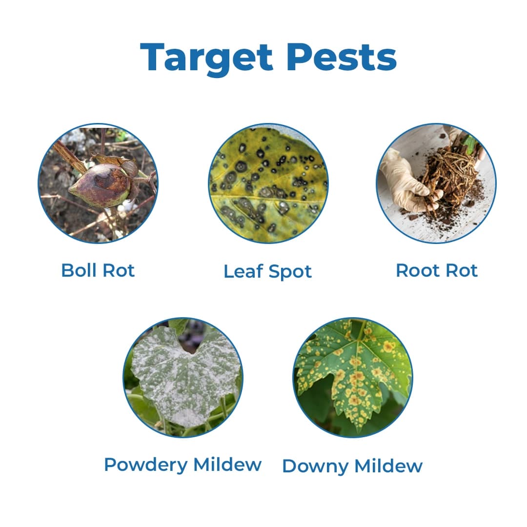 Shivalik Crosstin Fungicide - Image 3