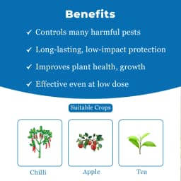 Indofil Ceasemite Propargite 42% + Hexythiazox 2% EC Insecticide, Effective Complete Mite Control in Crops 4