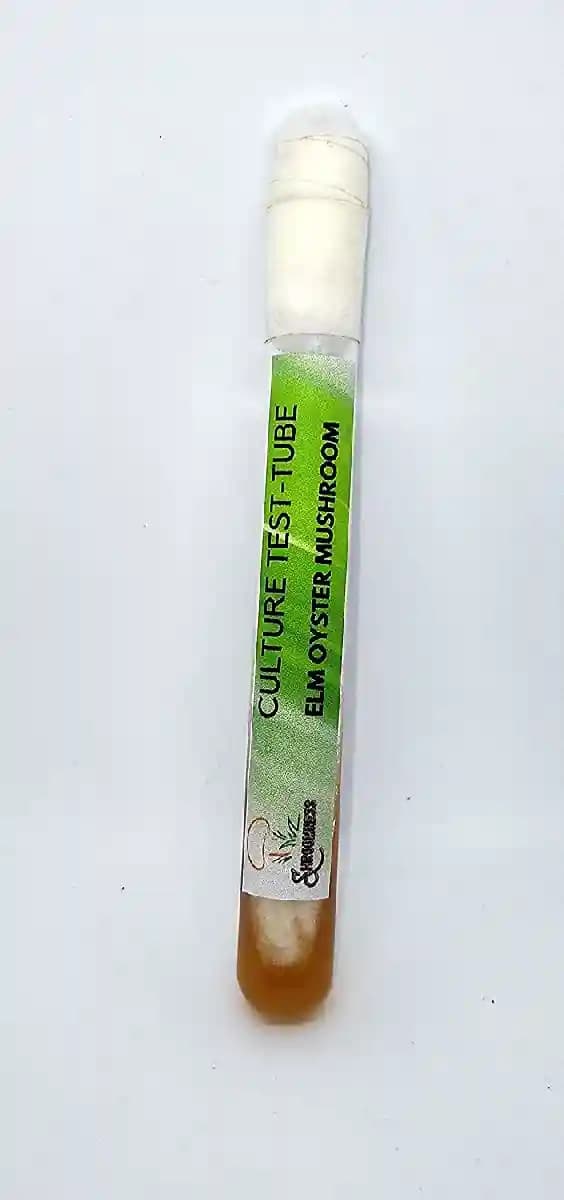 SporeKart Elm Oyster Mushroom Culture In Test-Tube, 100% Clean, Active Mycelium Culture In A Test Tube. - Image 2