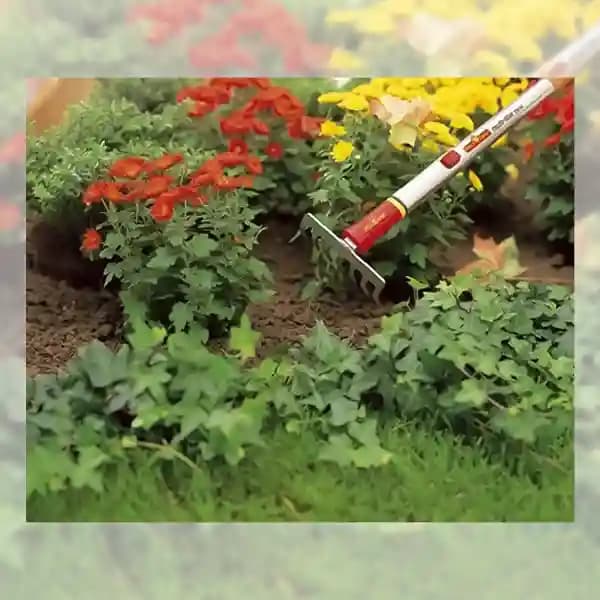 Wolf Garten Small Rake (DS-M 19) 19cm, Good Use For Home Garden, Small Farms - Image 4