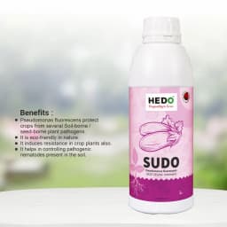 HEDO Sudo (Pseudomonas Fluorescence) Liquid Bio Fungicide, Effective Against A Wide Range Of Soil, Seed, And Air Borne Plant Diseases 3