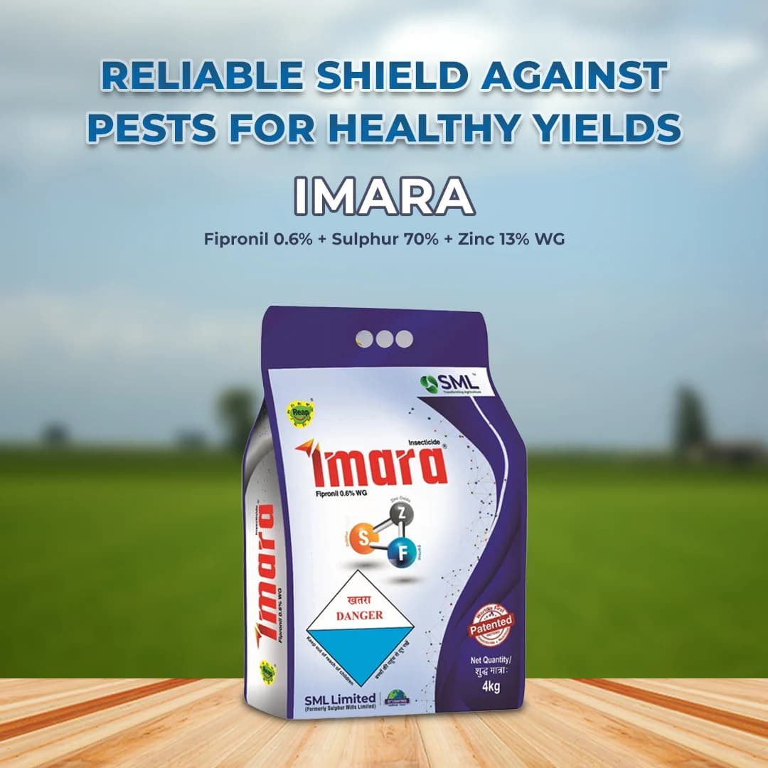 SML Imara Fipronil 0.6% + Sulphur 70% + Zinc 13% WG Systemic and Contact Insecticide - Image 2