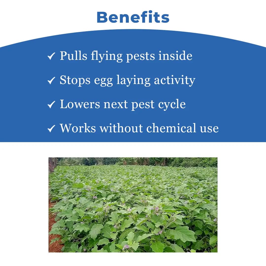 फनल फेरोमोन ट्रैप, ब्रिनजल ल्यूसिन-ओ-ल्यूर (ल्यूसीनोड्स ऑर्बोनालिस) बैंगन फल और तना छेदक कीट के लिए। - Image 4
