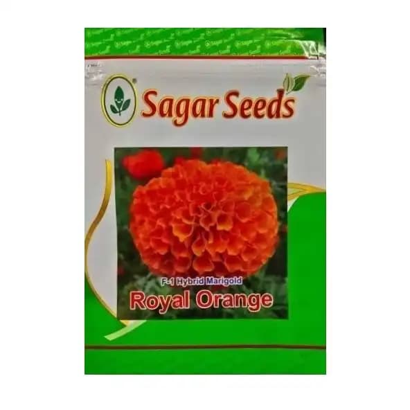 Sagar Royal Orange F1 Hybrid Marigold Seeds, Genda Ke Beej For Garden Plants - Image 7