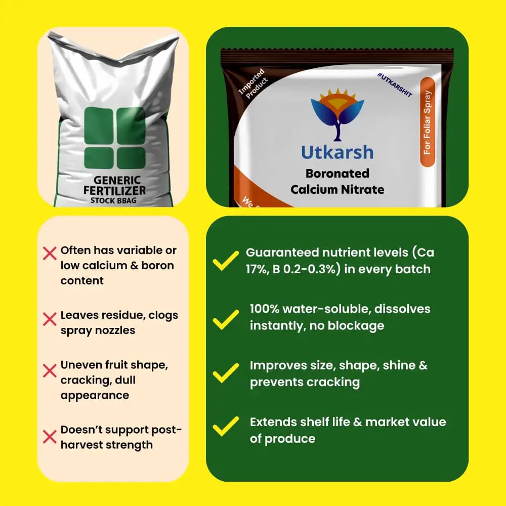 Utkarsh Boronated CAN (Boronated Calcium Nitrate) (100% Water Soluble Fertilizer) Improves Plant Growth and Nutrient Uptake. - Image 6