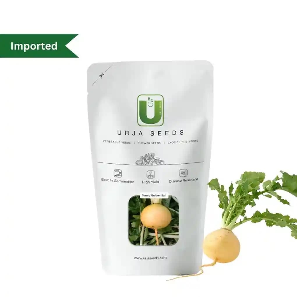 Urja Golden Ball Turnip Seeds, Pale Yellow Roundish Fruits Crisp And Sweet - Image 2