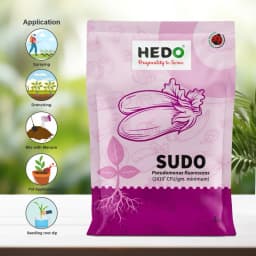 HEDO Sudo Pseudomonas Fluorescence Powder, Bio Fungicide For Agriculture, Garden & All Crops To Control Fungal Disease & Soil Borne Disease 4