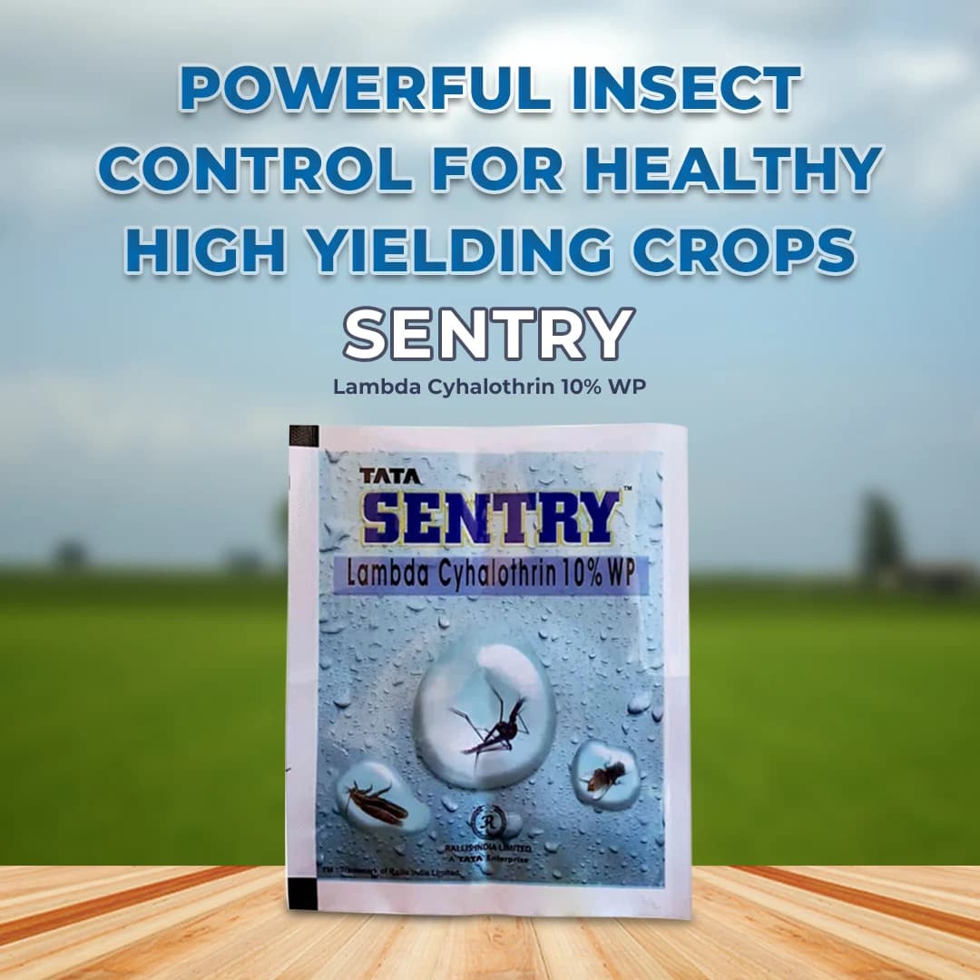TATA Rallis SENTRY Lambda Cyhalothrin 10% WP Insecticide, Pest Control For Mosquitoes - Image 2