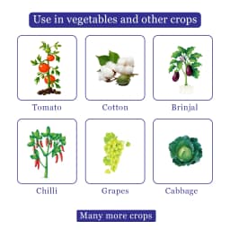 Katyayani Spino 45 Spinosad 45% SC Insecticide, Used For The Control Of Resistant Helicoverpa In Cotton And Red Gram 4