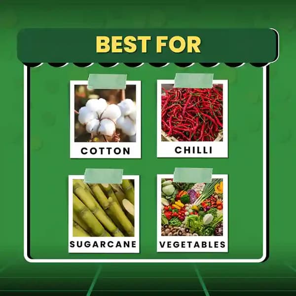 Katyayani Nashak Fipronil 40 % + Imidacloprid 40 % WG Unique Insecticide Control White Grub Sucking Pests Aphids - Image 3