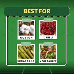 Katyayani Nashak Fipronil 40 % + Imidacloprid 40 % WG Unique Insecticide Control White Grub Sucking Pests Aphids 3