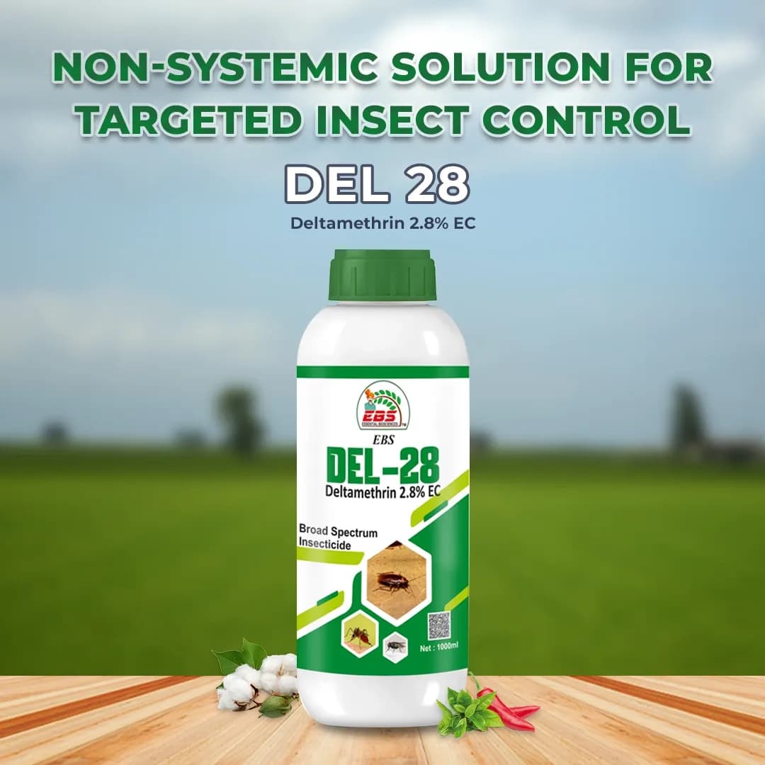 EBS DEL 28 Deltamethrin 2.8% EC Insecticides For Broad Spectrum Control Of Chewing And Sucking Insects. - Image 2