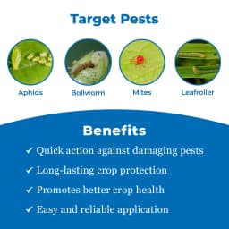 Sumitomo Meothrin Fenpropathrin 30% EC Insecticide and Acaricide Control Of Aphids, Jassids. 3