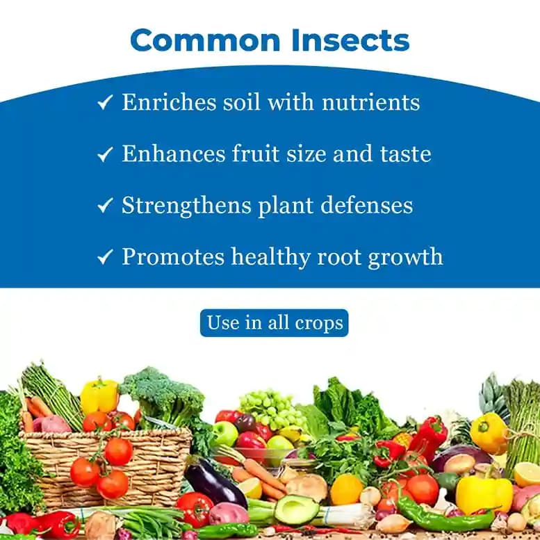 Agroveer Banana Special Booster, ICAR Patented Product, Contains Primary Nutrients, Secondary Nutrients And Micronutrients. - Image 4