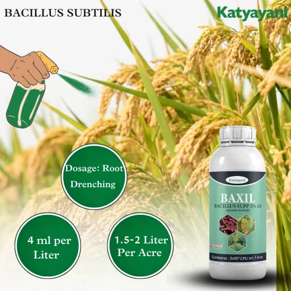 Katyayani Baxil Bacillus Supp 2% AS Liquid Bio Fungicide, Solution For Effective Control of Fungal Diseases In Crops - Image 5